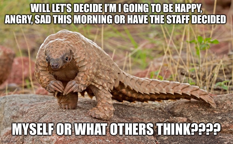 ummm pangolin | WILL LET’S DECIDE I’M I GOING TO BE HAPPY, ANGRY, SAD THIS MORNING OR HAVE THE STAFF DECIDED; MYSELF OR WHAT OTHERS THINK???? | image tagged in ummm pangolin | made w/ Imgflip meme maker