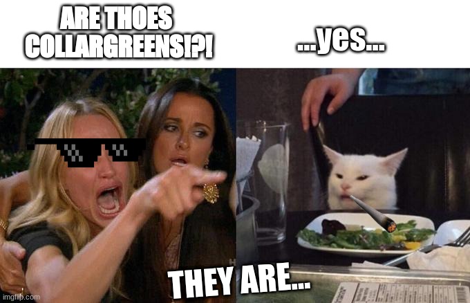COLLARD GREENS | ...yes... ARE THOES 
COLLARGREENS!?! THEY ARE... | image tagged in memes,woman yelling at cat,collard greens | made w/ Imgflip meme maker