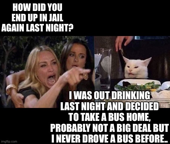 Woman yelling at cat | HOW DID YOU END UP IN JAIL AGAIN LAST NIGHT? I WAS OUT DRINKING LAST NIGHT AND DECIDED TO TAKE A BUS HOME, PROBABLY NOT A BIG DEAL BUT I NEVER DROVE A BUS BEFORE.. | image tagged in woman yelling at cat | made w/ Imgflip meme maker