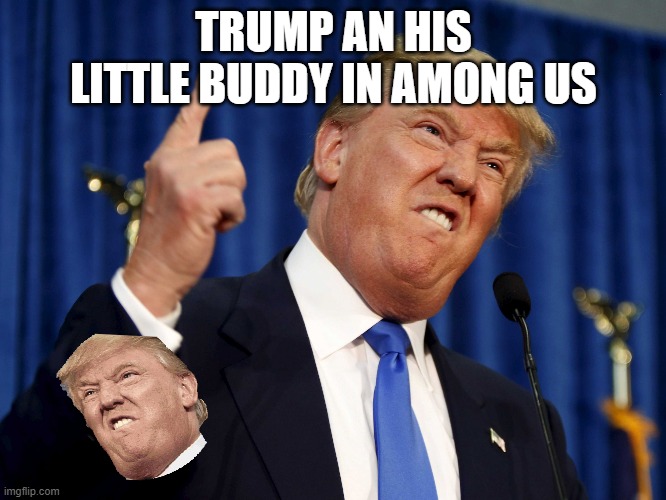 Donald Trump, the overpowered person of the government | TRUMP AN HIS LITTLE BUDDY IN AMONG US | image tagged in donald trump the overpowered person of the government | made w/ Imgflip meme maker