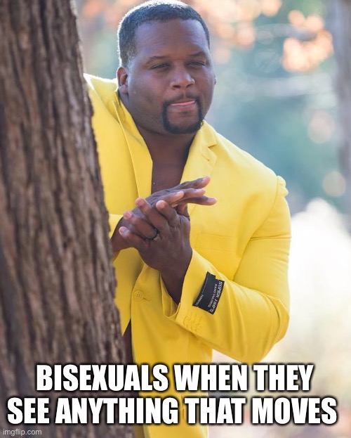 Anthony Adams Rubbing Hands | BISEXUALS WHEN THEY SEE ANYTHING THAT MOVES | image tagged in anthony adams rubbing hands | made w/ Imgflip meme maker