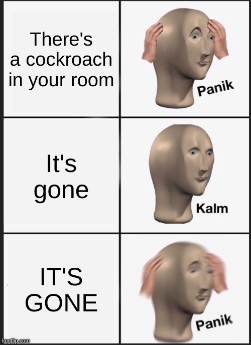 Panik Kalm Panik Meme | There's a cockroach in your room; It's gone; IT'S GONE | image tagged in memes,panik kalm panik | made w/ Imgflip meme maker