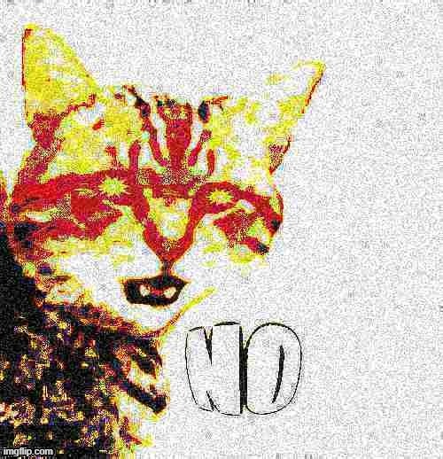 Deepfried No Cat | image tagged in deepfried no cat | made w/ Imgflip meme maker