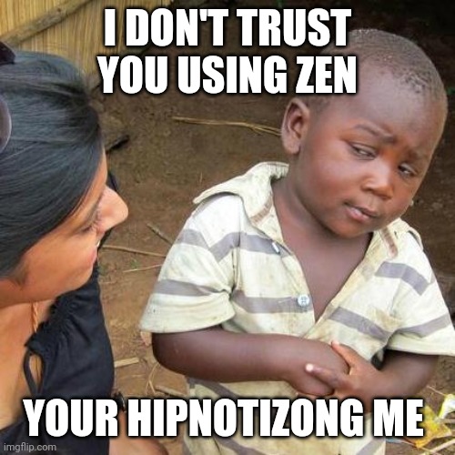 Relatable anyone? | I DON'T TRUST YOU USING ZEN; YOUR HIPNOTIZONG ME | image tagged in memes,third world skeptical kid | made w/ Imgflip meme maker