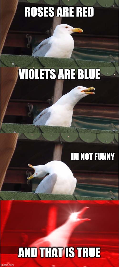 wow such funny | ROSES ARE RED; VIOLETS ARE BLUE; IM NOT FUNNY; AND THAT IS TRUE | image tagged in memes,inhaling seagull,not,funny | made w/ Imgflip meme maker