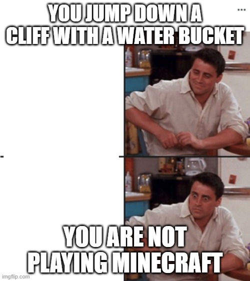 minecraft but your not in minecraft |  YOU JUMP DOWN A CLIFF WITH A WATER BUCKET; YOU ARE NOT PLAYING MINECRAFT | image tagged in joey delayed | made w/ Imgflip meme maker