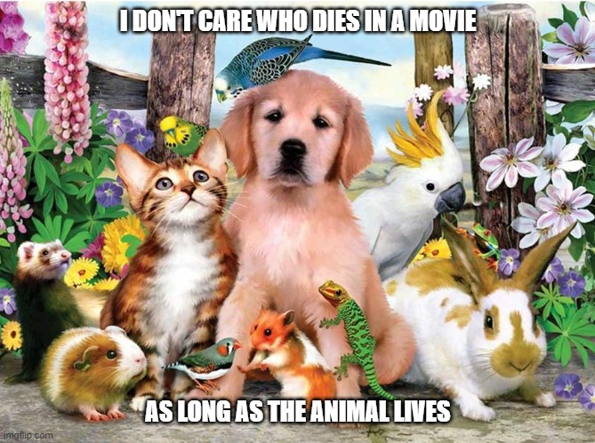 Animals | I DON'T CARE WHO DIES IN A MOVIE; AS LONG AS THE ANIMAL LIVES | image tagged in funny animals | made w/ Imgflip meme maker