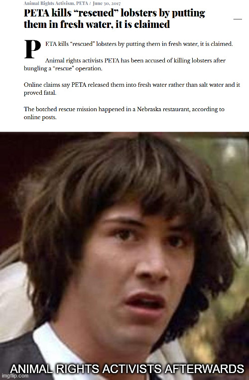 Big Brain | ANIMAL RIGHTS ACTIVISTS AFTERWARDS | image tagged in memes,conspiracy keanu,funny | made w/ Imgflip meme maker