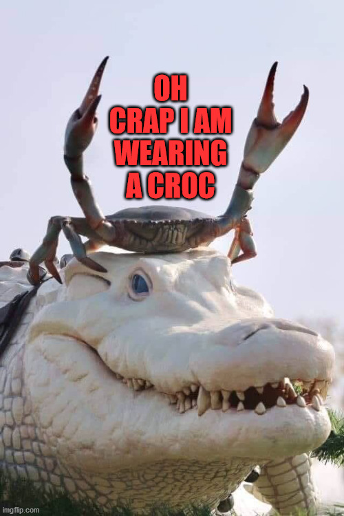 Crab on Crocodile | OH CRAP I AM WEARING A CROC | image tagged in crab on crocodile | made w/ Imgflip meme maker