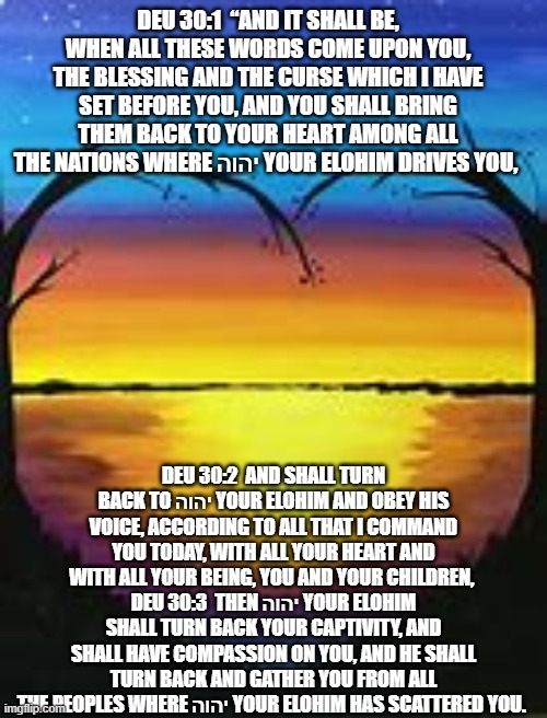Turn and Seek | DEU 30:1  “AND IT SHALL BE, WHEN ALL THESE WORDS COME UPON YOU, THE BLESSING AND THE CURSE WHICH I HAVE SET BEFORE YOU, AND YOU SHALL BRING THEM BACK TO YOUR HEART AMONG ALL THE NATIONS WHERE יהוה YOUR ELOHIM DRIVES YOU, ; DEU 30:2  AND SHALL TURN BACK TO יהוה YOUR ELOHIM AND OBEY HIS VOICE, ACCORDING TO ALL THAT I COMMAND YOU TODAY, WITH ALL YOUR HEART AND WITH ALL YOUR BEING, YOU AND YOUR CHILDREN, 
DEU 30:3  THEN יהוה YOUR ELOHIM SHALL TURN BACK YOUR CAPTIVITY, AND SHALL HAVE COMPASSION ON YOU, AND HE SHALL TURN BACK AND GATHER YOU FROM ALL THE PEOPLES WHERE יהוה YOUR ELOHIM HAS SCATTERED YOU.  | image tagged in old testament | made w/ Imgflip meme maker