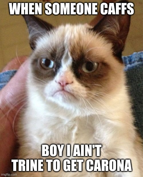 Grumpy Cat Meme | WHEN SOMEONE CAFFS; BOY I AIN'T TRINE TO GET CARONA | image tagged in memes,grumpy cat | made w/ Imgflip meme maker