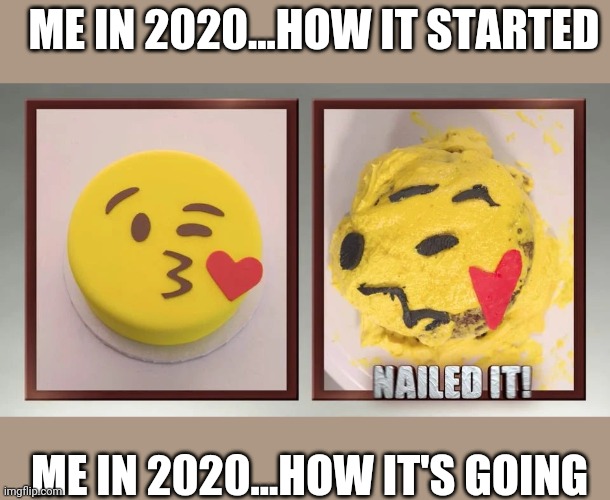 2020 nailed it! | ME IN 2020...HOW IT STARTED; ME IN 2020...HOW IT'S GOING | image tagged in coronavirus,2020 sucks,funny meme | made w/ Imgflip meme maker