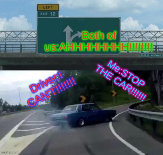Why?? | Both of us:AHHHHHHHH!!!!!!!! Me:STOP THE CAR!!!!!! Driver:I CAN'T!!!!!!! | image tagged in memes,left exit 12 off ramp | made w/ Imgflip meme maker