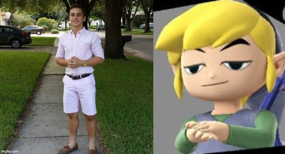 image tagged in you know i had to do it to em,toon link | made w/ Imgflip meme maker