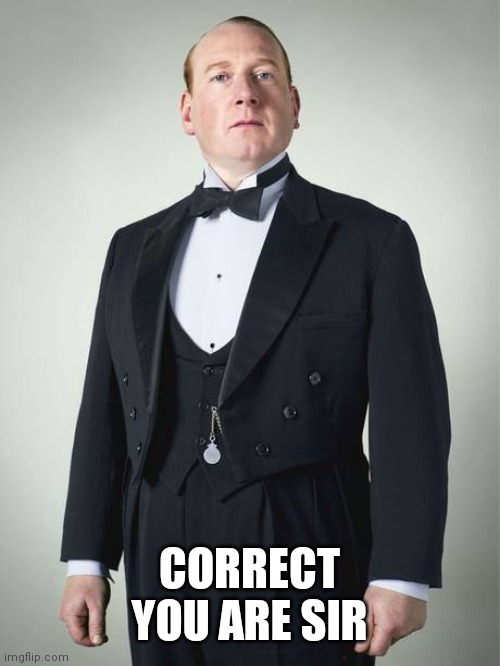 English Butler | CORRECT YOU ARE SIR | image tagged in english butler | made w/ Imgflip meme maker