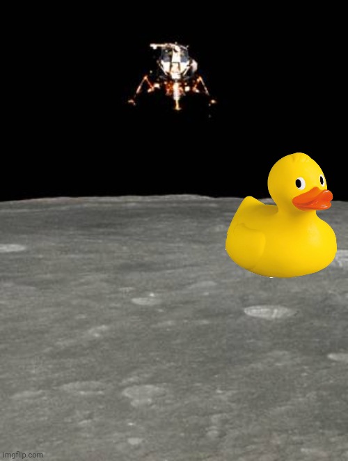 Moon Landing | image tagged in moon landing | made w/ Imgflip meme maker