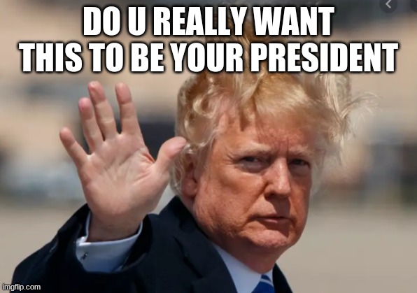 DO U REALLY WANT THIS TO BE YOUR PRESIDENT | image tagged in donald trump | made w/ Imgflip meme maker