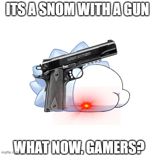 WHAT NOW, KID? | ITS A SNOM WITH A GUN; WHAT NOW, GAMERS? | image tagged in pokemon,gun | made w/ Imgflip meme maker