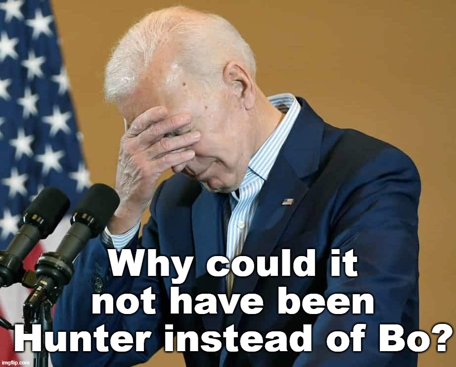 Asking, Why God? | Why could it not have been Hunter instead of Bo? | image tagged in political meme,joe biden,dark humor | made w/ Imgflip meme maker