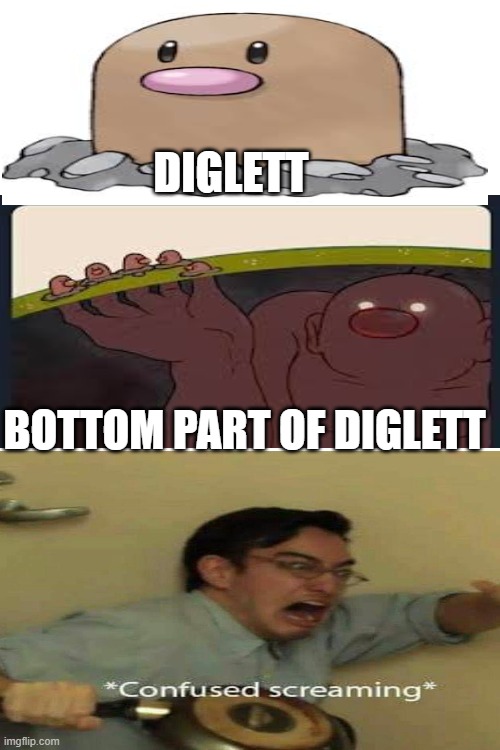 Diglett mystery solved | DIGLETT; BOTTOM PART OF DIGLETT | image tagged in blank white template,pokemon,bald | made w/ Imgflip meme maker