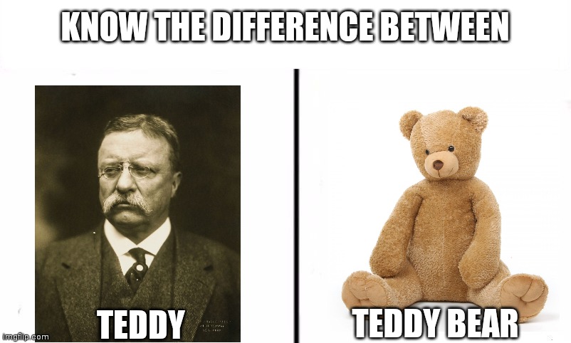 Teddy | KNOW THE DIFFERENCE BETWEEN; TEDDY; TEDDY BEAR | image tagged in teddy bear,everyones a mod,teddy roosevelt | made w/ Imgflip meme maker