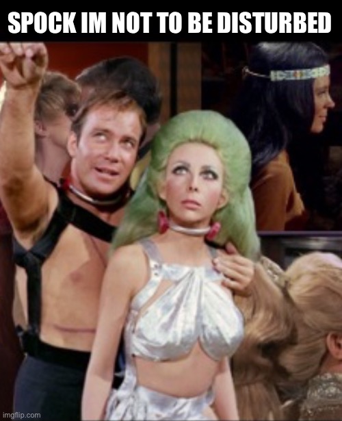 Kirk and green hair lady | SPOCK IM NOT TO BE DISTURBED | image tagged in kirk and green hair lady | made w/ Imgflip meme maker