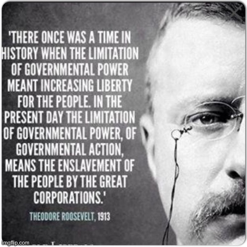 Teddy Roosevelt understood that our libertarian founding principles are due for an update | image tagged in teddy roosevelt quote,government,president,corporations,corporate greed,republican | made w/ Imgflip meme maker