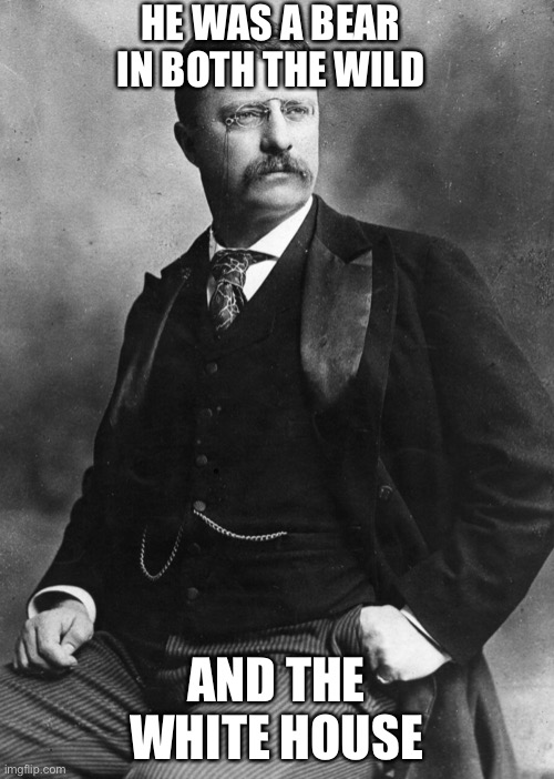 Stronger than a Teddy Bear for sure | HE WAS A BEAR IN BOTH THE WILD; AND THE WHITE HOUSE | image tagged in theodore roosevelt | made w/ Imgflip meme maker