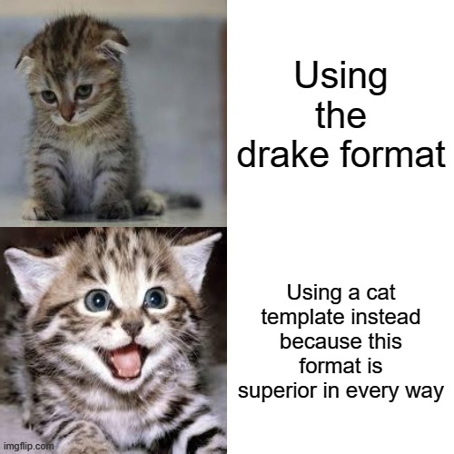 Sad Cat to Happy Cat | Using the drake format; Using a cat template instead because this format is superior in every way | image tagged in sad cat to happy cat,new template | made w/ Imgflip meme maker