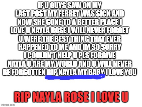 i love u nayla rose | image tagged in ferret,rip,emotional,died,sad,i love you | made w/ Imgflip meme maker