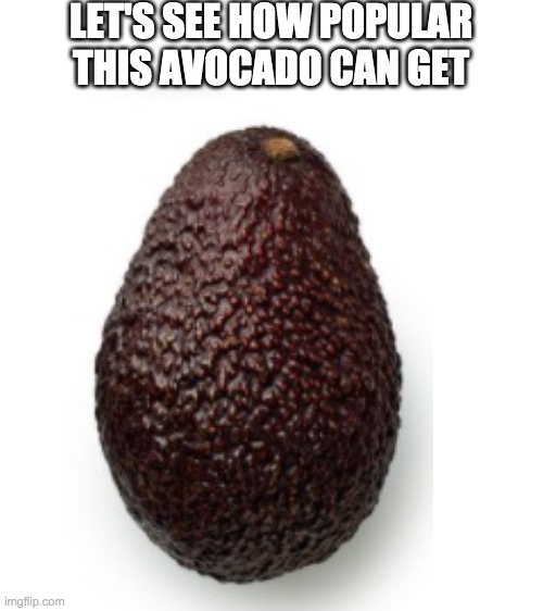 Is this avocado popular??? | LET'S SEE HOW POPULAR THIS AVOCADO CAN GET | image tagged in blank white template | made w/ Imgflip meme maker