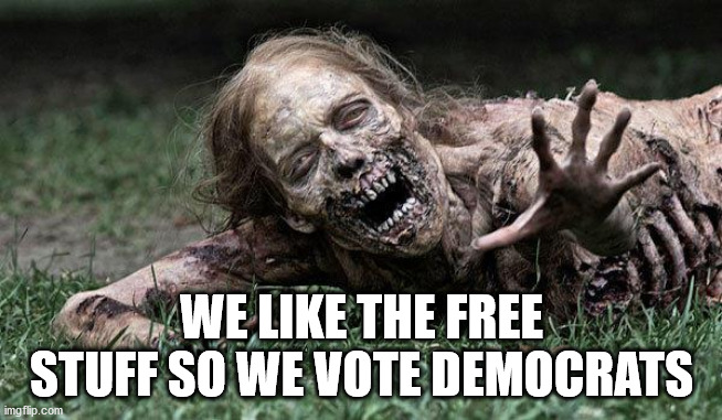 Walking Dead Zombie | WE LIKE THE FREE STUFF SO WE VOTE DEMOCRATS | image tagged in walking dead zombie | made w/ Imgflip meme maker