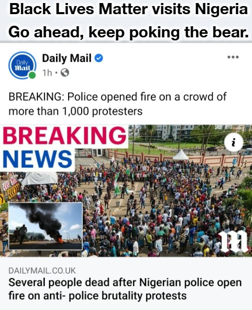 Go ahead, keep poking the bear. | Black Lives Matter visits Nigeria; Go ahead, keep poking the bear. | image tagged in black lives matter,nigeria,never go full retard,full retard,the most interesting man in yhe jungle,mostly peaceful demonstration | made w/ Imgflip meme maker