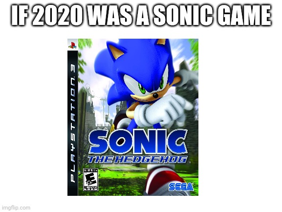 Blank White Template | IF 2020 WAS A SONIC GAME | image tagged in blank white template | made w/ Imgflip meme maker