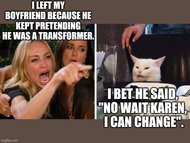 Smudge the cat | I LEFT MY BOYFRIEND BECAUSE HE KEPT PRETENDING HE WAS A TRANSFORMER. I BET HE SAID, "NO WAIT KAREN,  I CAN CHANGE". | image tagged in smudge the cat | made w/ Imgflip meme maker
