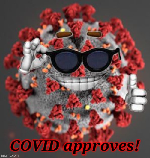 Coronavirus | COVID approves! | image tagged in coronavirus | made w/ Imgflip meme maker
