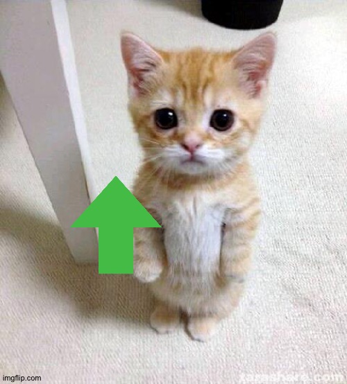 Cute Cat Meme | image tagged in memes,cute cat | made w/ Imgflip meme maker