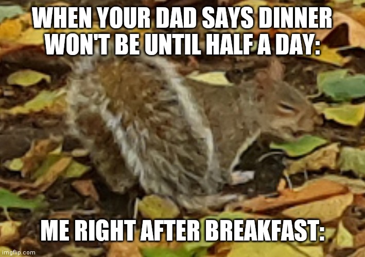 Very Hungry | WHEN YOUR DAD SAYS DINNER WON'T BE UNTIL HALF A DAY:; ME RIGHT AFTER BREAKFAST: | image tagged in fun,hunger | made w/ Imgflip meme maker