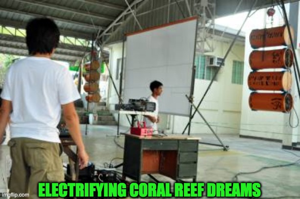 CORAL CAMPAIGN | ELECTRIFYING CORAL REEF DREAMS | image tagged in coral campaign | made w/ Imgflip meme maker