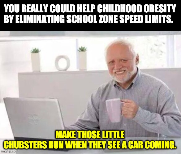 School Zone | YOU REALLY COULD HELP CHILDHOOD OBESITY BY ELIMINATING SCHOOL ZONE SPEED LIMITS. MAKE THOSE LITTLE CHUBSTERS RUN WHEN THEY SEE A CAR COMING. | image tagged in harold | made w/ Imgflip meme maker