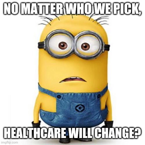 Minions | NO MATTER WHO WE PICK, HEALTHCARE WILL CHANGE? | image tagged in minions | made w/ Imgflip meme maker