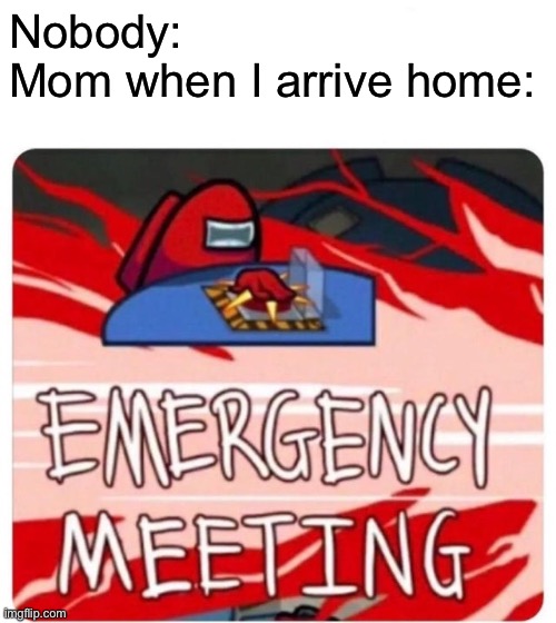 What did I do wrong? | Nobody:
Mom when I arrive home: | image tagged in emergency meeting among us,memes,funny,among us,emergency meeting | made w/ Imgflip meme maker