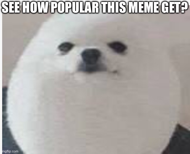 Eggdog | SEE HOW POPULAR THIS MEME GET? | image tagged in eggdog,memes | made w/ Imgflip meme maker