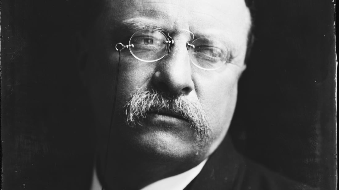 Teddy Roosevelt Jr. Blank Meme Template