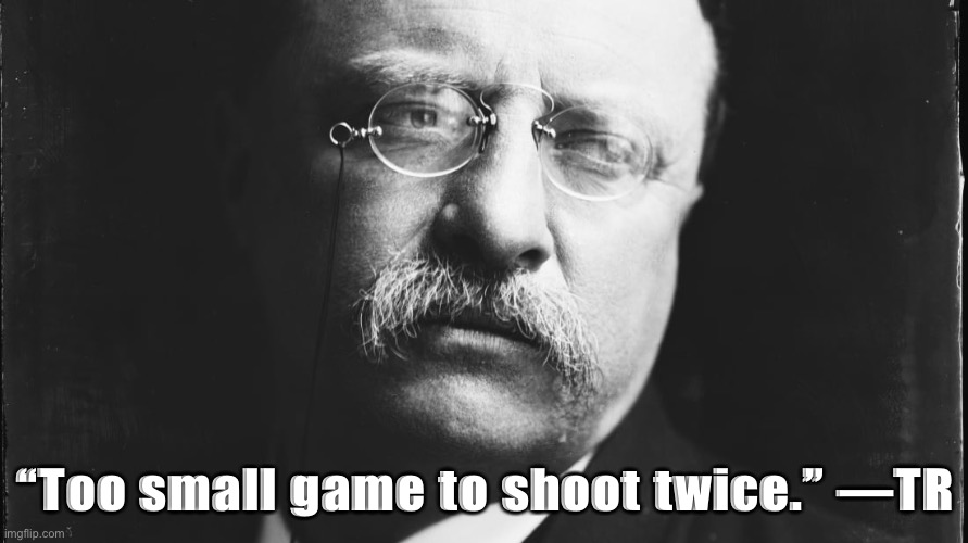 Legendary diss, recommended for use on your next internet troll | “Too small game to shoot twice.” —TR | image tagged in teddy roosevelt jr,trolling the troll,internet trolls,quotes | made w/ Imgflip meme maker