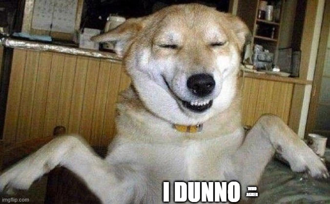 Dunno Dog | WHO ASKED I DUNNO | image tagged in dunno dog | made w/ Imgflip meme maker
