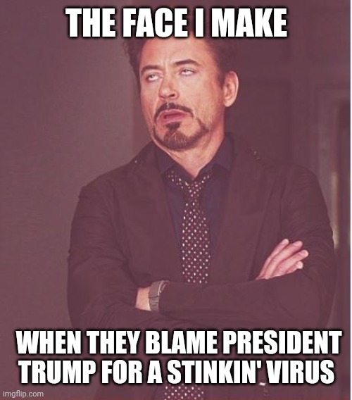 Face You Make Robert Downey Jr Meme | THE FACE I MAKE WHEN THEY BLAME PRESIDENT TRUMP FOR A STINKIN' VIRUS | image tagged in memes,face you make robert downey jr | made w/ Imgflip meme maker
