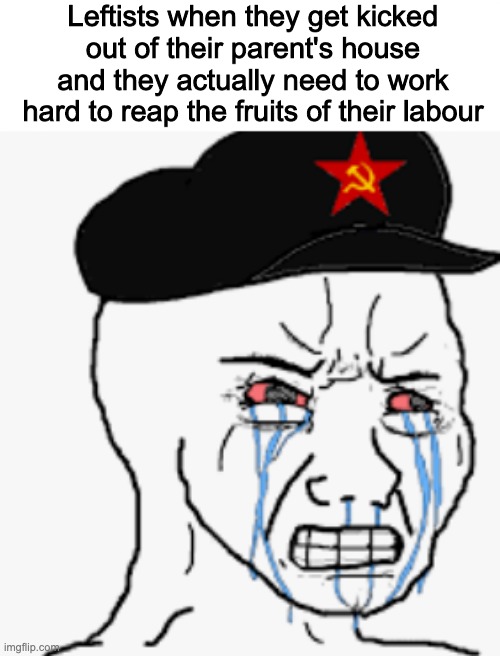 Leftists when they get kicked out of their parent's house and they actually need to work hard to reap the fruits of their labour | image tagged in politica | made w/ Imgflip meme maker