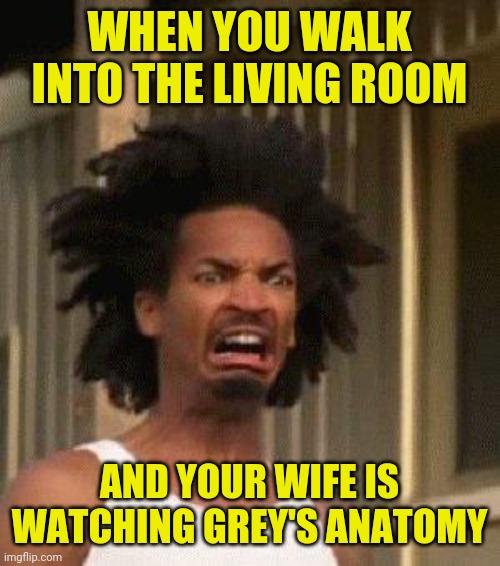 When you walk into the living room and your wife is watching Grey's anatomy | WHEN YOU WALK INTO THE LIVING ROOM; AND YOUR WIFE IS WATCHING GREY'S ANATOMY | image tagged in disgusted face,funny,memes,funny memes,funny meme,meme | made w/ Imgflip meme maker