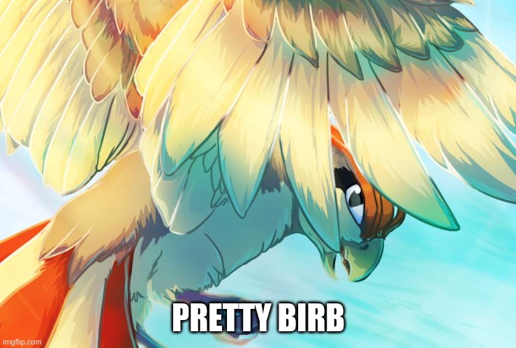 PRETTY BIRB | image tagged in pretty,birb | made w/ Imgflip meme maker